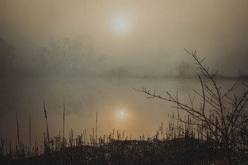 Mystical lake on a foggy morning