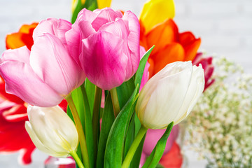 Fresh spring tulip buds against white brick wall close up