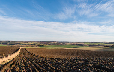 Alvah Farmland View