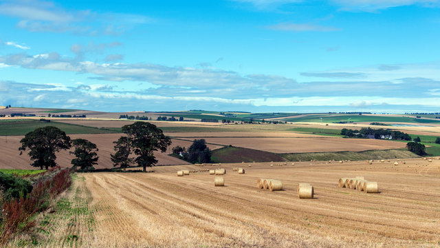 Wells of Ythan View