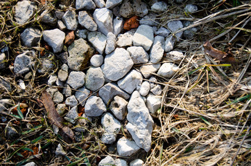 Fine gravel among grass in a natural landscape