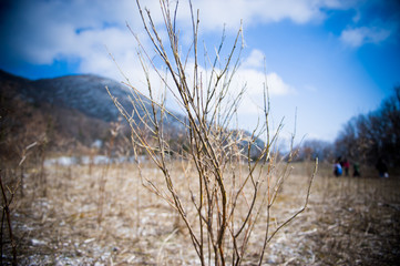 Melancholy landscape