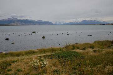 Seascape in the Ultima Esperanza Inlet from Puerto Natales.