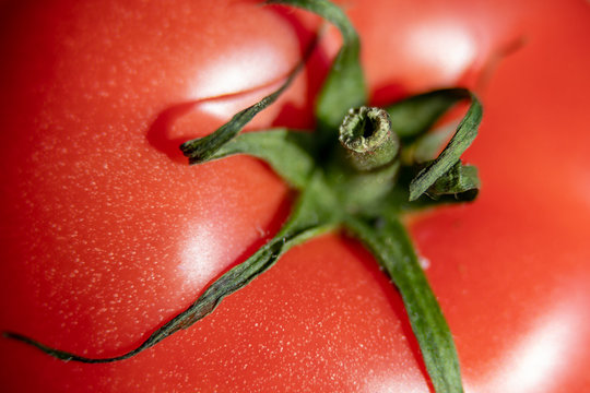 pomidor szypułka zielona