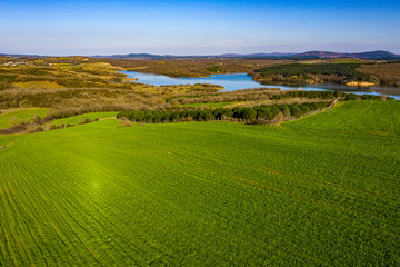 Fototapeta na wymiar Beautiful wheat field in Tekirdag near the river