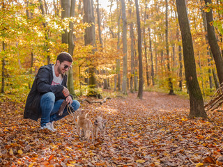 Mann mit Chihuahua Hunden im Herbst Wald