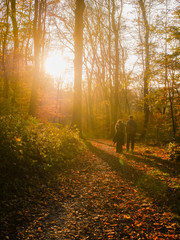 Paar bei Sonnenuntergang im Wald im Herbst