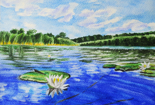 Hand drawn watercolor. Beautiful landscape with lake and water lilies.
