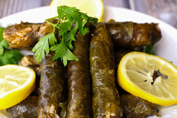 leaf wrap, vine leaf, traditional food, isolated on white, dolmades, sarmale, dolma, lemon slices, appetizer