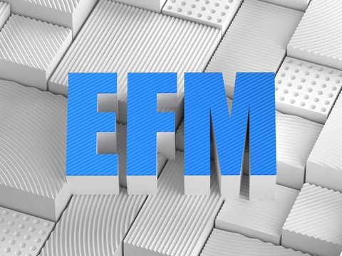 EFM acronym (Enterprise Feedback Management)