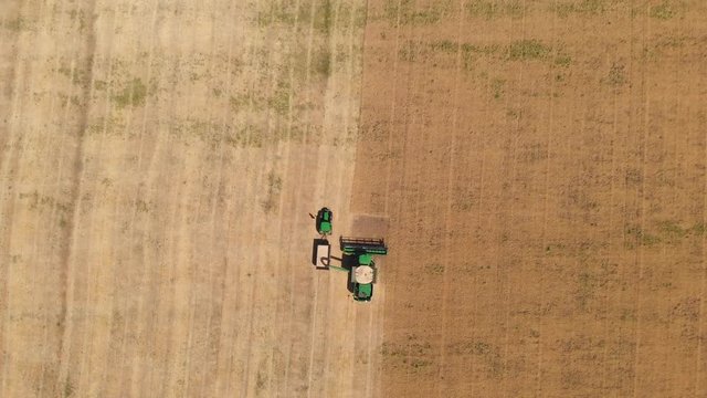 Aerial view combine harvester stand close tractor and pours wheat or barley into trailers to release hopper for mowing of spikelets in agricultural farm field. Drone shoots video of reap grain crops