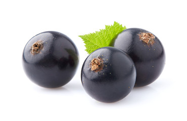 Black currant berry isolated on white background