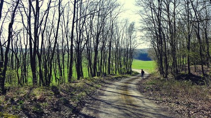Wanderer auf einem Waldweg