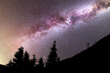 Purple Milky way falling stars pine trees silhouette