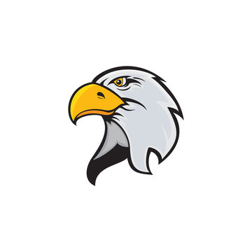 head eagle mascot logo design
