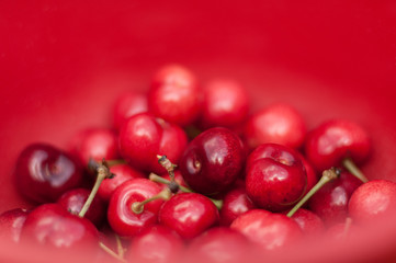 Plucked ripe cherries