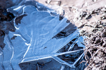 A puddle covered with a thin crust of ice. Spring frosty morning on earth.