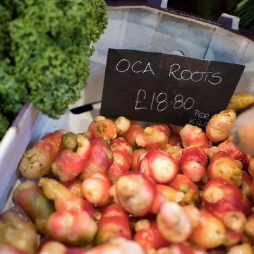 oca root for sale at the farmer market