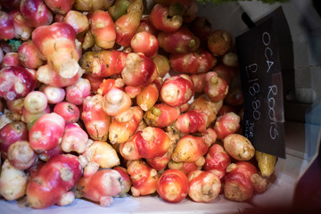 oca root for sale at the farmer market