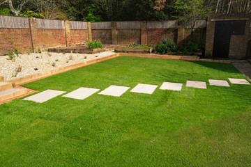 New turf installed around a stepping stone pathway in a garden or back yard - 333746456