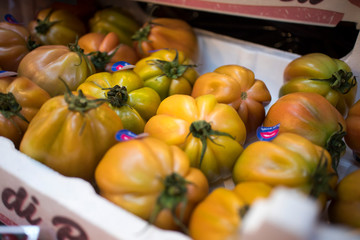 Large COUR DI BUE TOMATO for sale on a farmers Borough market stall