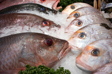 Various types of seafood for sale in the local market.