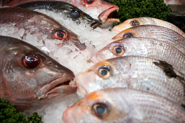 Various types of seafood for sale in the local market.