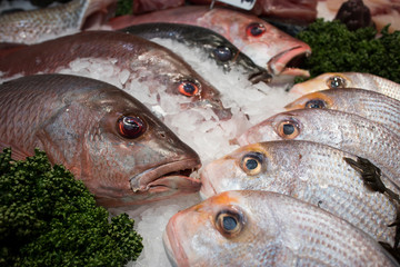 Various types of seafood for sale in the local market.