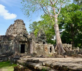 Ruins of Angkor, temple of Preah Khan, stone pyramids with tree on grass, Angkor Wat, Cambodia