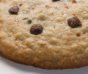 Closeup of an oat and chocolate chips cookie