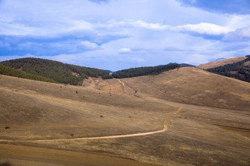 road with forest in mountain