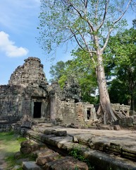 Ruins of Angkor, temple of Preah Khan, stone pyramids with tree on grass, Angkor Wat, Cambodia