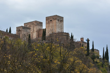 Fototapeta na wymiar Walking in the autumn of Granada.