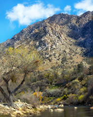 Obraz premium Spring Along The Kern River