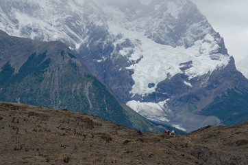 Hikers on land burned in the Torres del Paine National Park by the great fire in 2011-2012.