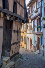 Fototapeta na wymiar stroll in eguisheim