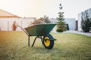 Green wheelbarrow in the garden. Garden wheelbarrow full of weeds and branches.