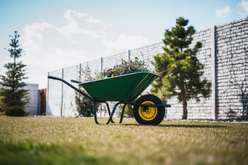 Green wheelbarrow in the garden. Garden wheelbarrow full of weeds and branches. © Peter