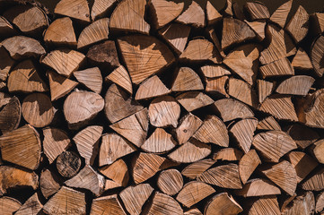 Fototapeta premium Wooden natural sawn logs as background, top view, flat lay. Wood texture.