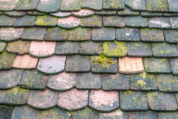 Moos auf altem Ziegeldach