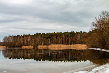 Wald mit Ufer spiegelt sich im Wasser an einem ruhigen Wintertag