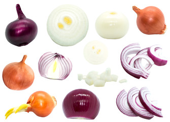 Isolated set of onion on white background bright