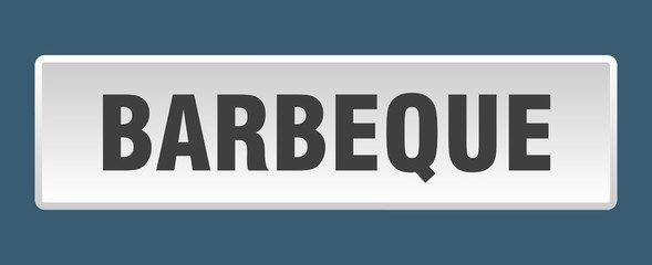 barbeque button. barbeque square white push button