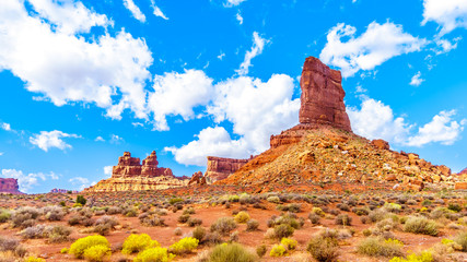The Red Sandstone Buttes and Pinnacles in the semi desert landscape in the Valley of the Gods State Park near Mexican Hat, Utah, United States - obrazy, fototapety, plakaty