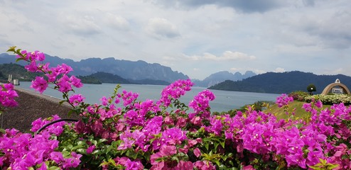 Beautifel bright flowers in front of scenic Cheow Lan Lake