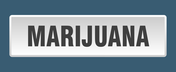 marijuana button. marijuana square white push button