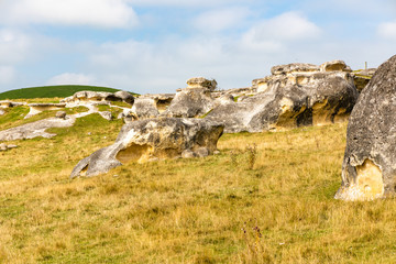 elephant rock in New Zealand