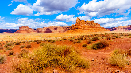 The Red Sandstone Buttes and Pinnacles in the semi desert landscape in the Valley of the Gods State Park near Mexican Hat, Utah, United States