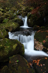 waterfall in forest