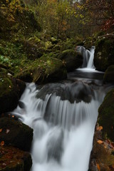 waterfall in the forest